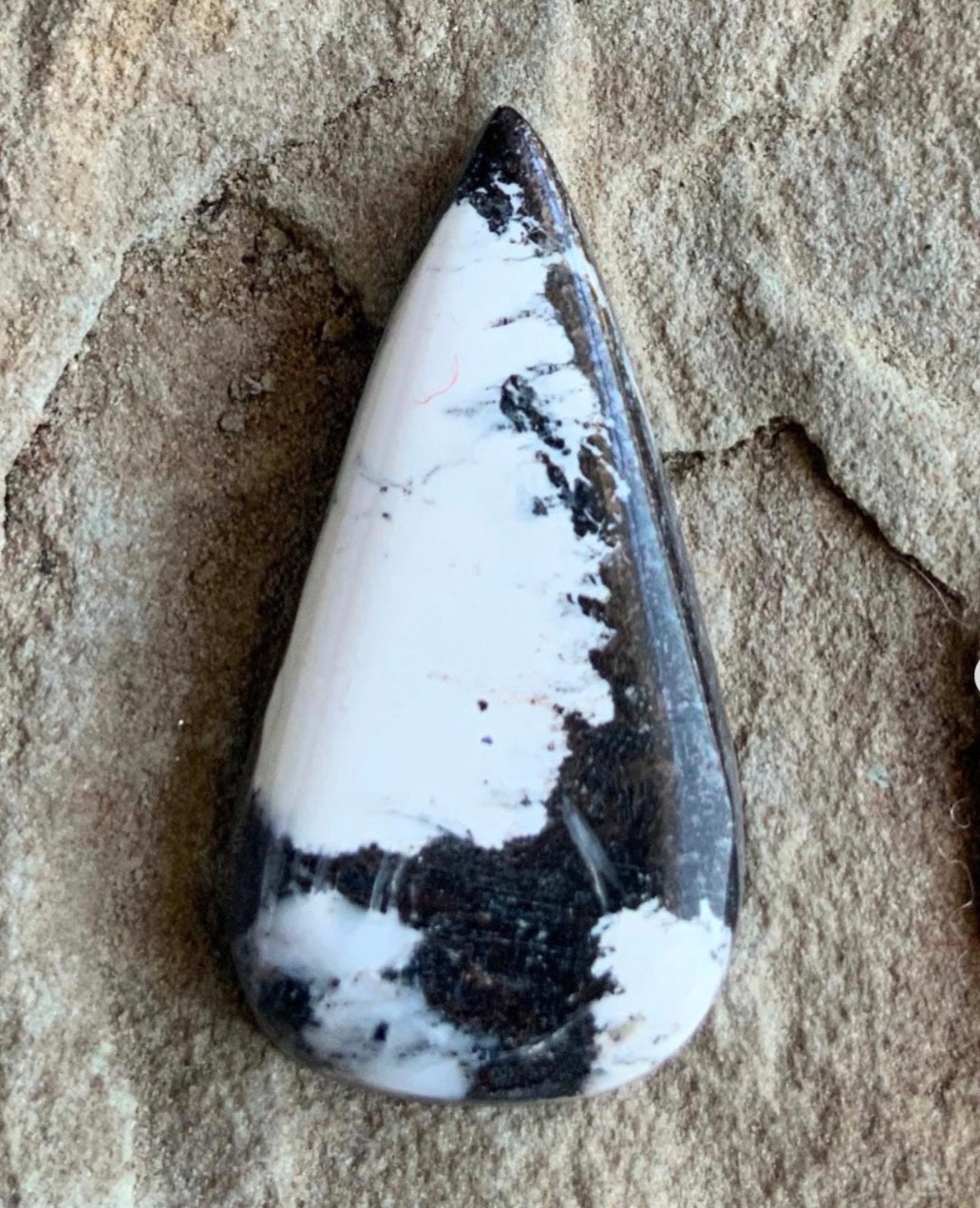 White Buffalo Cabochons