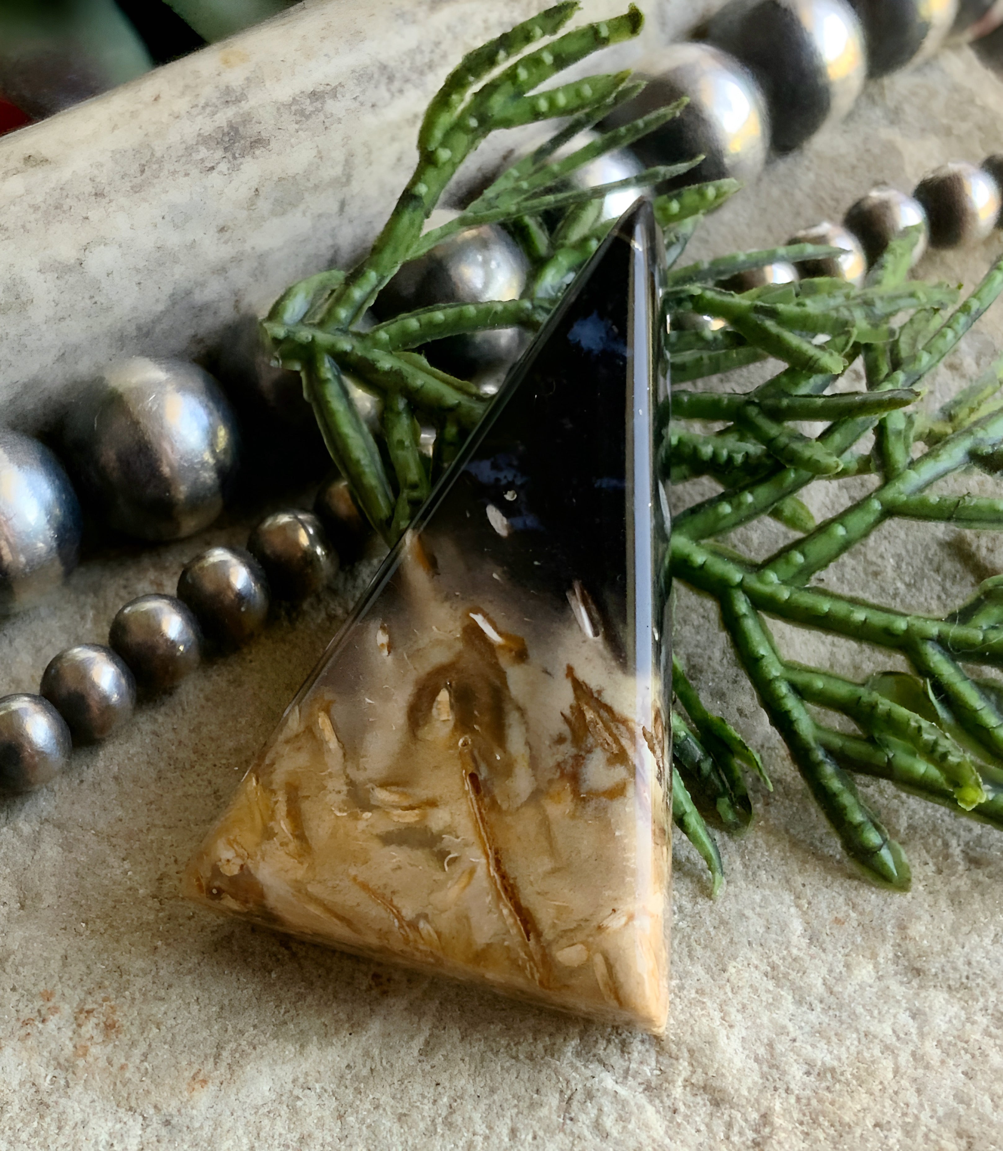 Indonesian Palm Root Cabochon