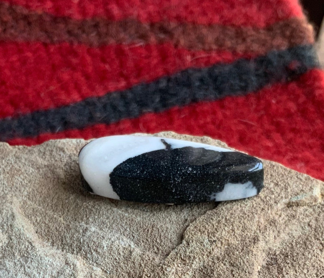 Stunning Natural White Buffalo Teardrop Cabochon  #WB63