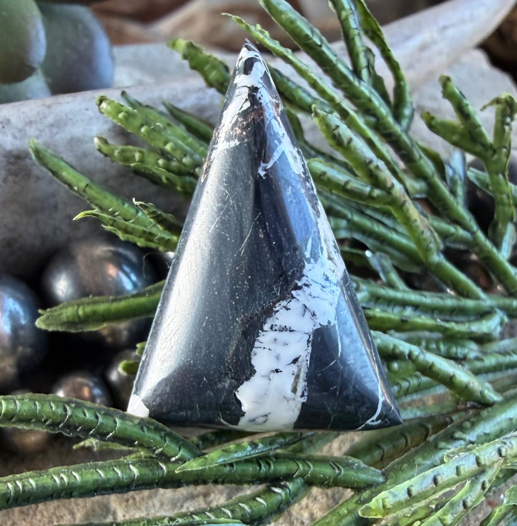 Natural White Buffalo Triangular Cabochon-Nevada Gemstone