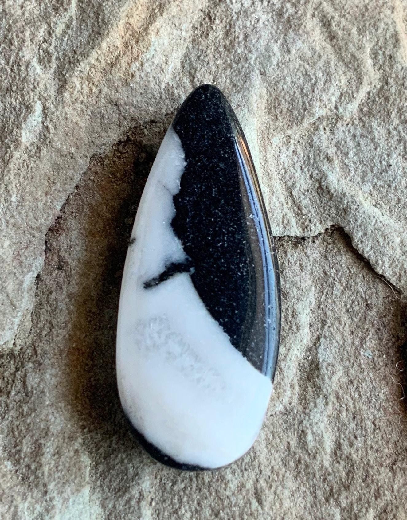 Stunning Natural White Buffalo Teardrop Cabochon  #WB63