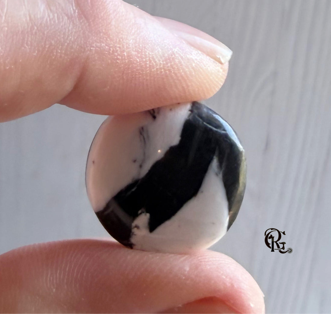 Natural White Buffalo Round Cabochon