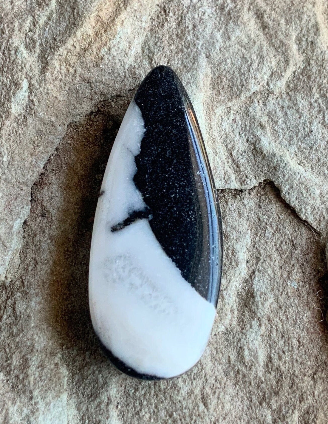 Stunning Natural White Buffalo Teardrop Cabochon  #WB63