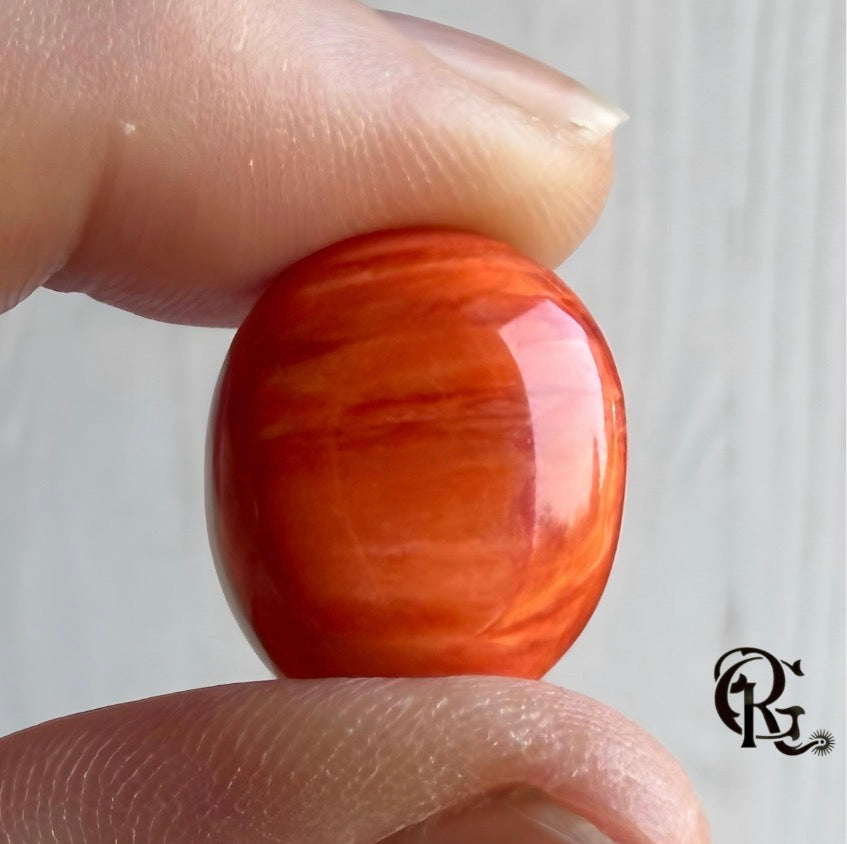 Orange Spiny Oyster Oval Cabochon