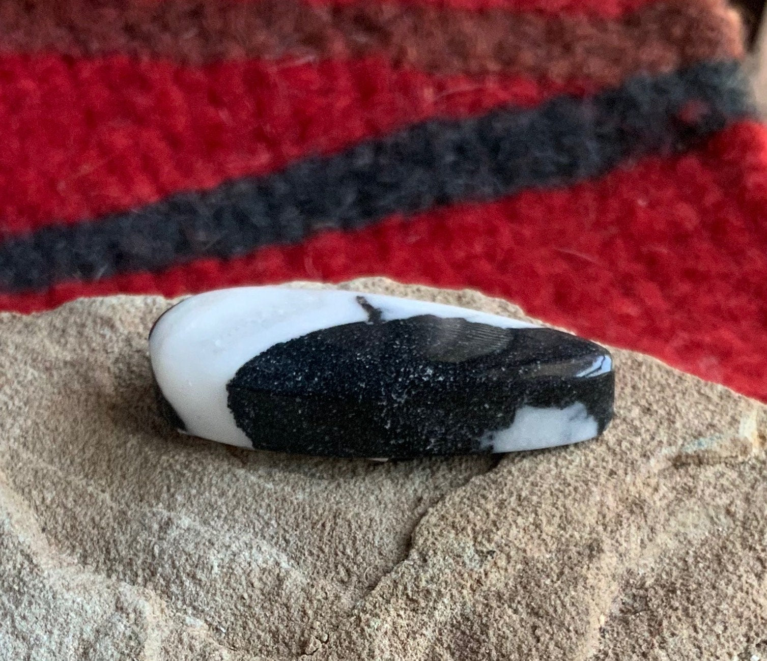Stunning Natural White Buffalo Teardrop Cabochon  #WB63