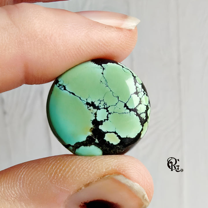 Bao Canyon Turquoise Round Cabochon -Hubei Province Gemstone