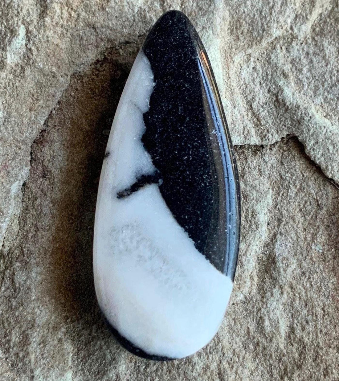 Stunning Natural White Buffalo Teardrop Cabochon  #WB63