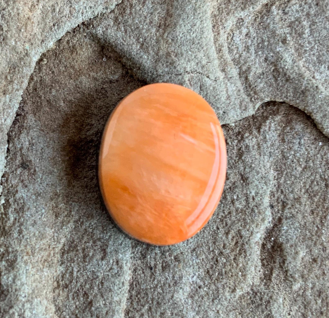 Orange Spiny Oyster Oval Cabochon