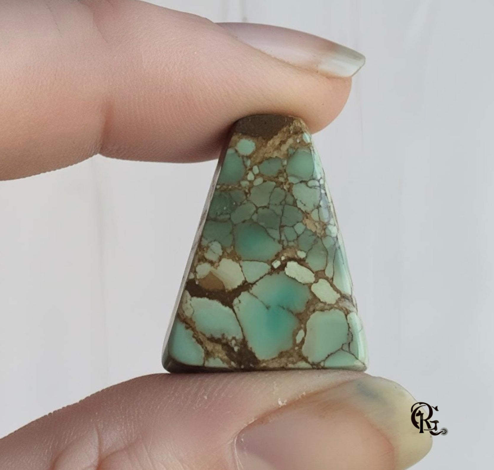 Treasure Mountain Turquoise Cabochon
