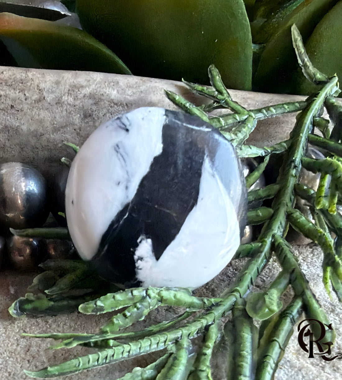 Natural White Buffalo Round Cabochon