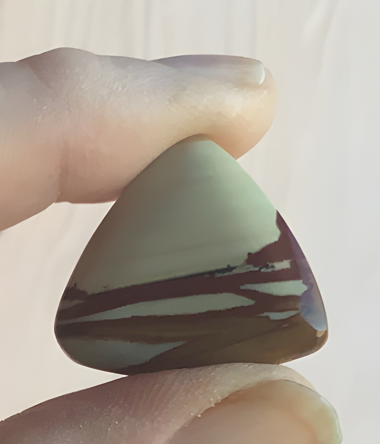 Owyhee Jasper Triangle Cabochon
