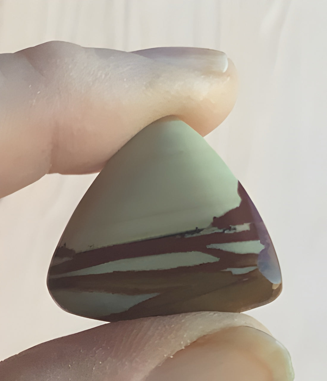 Owyhee Jasper Triangle Cabochon