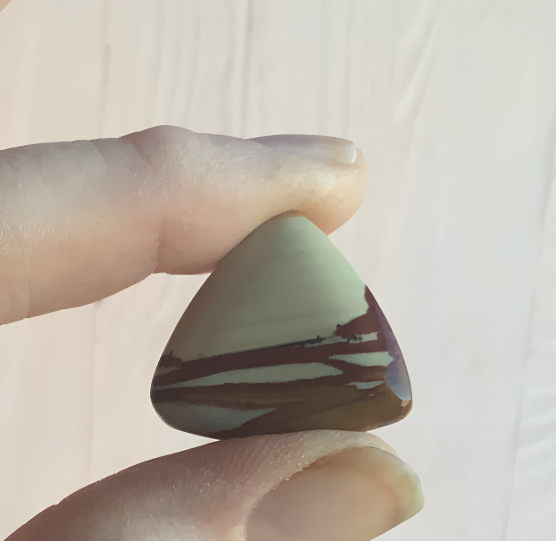 Owyhee Jasper Triangle Cabochon