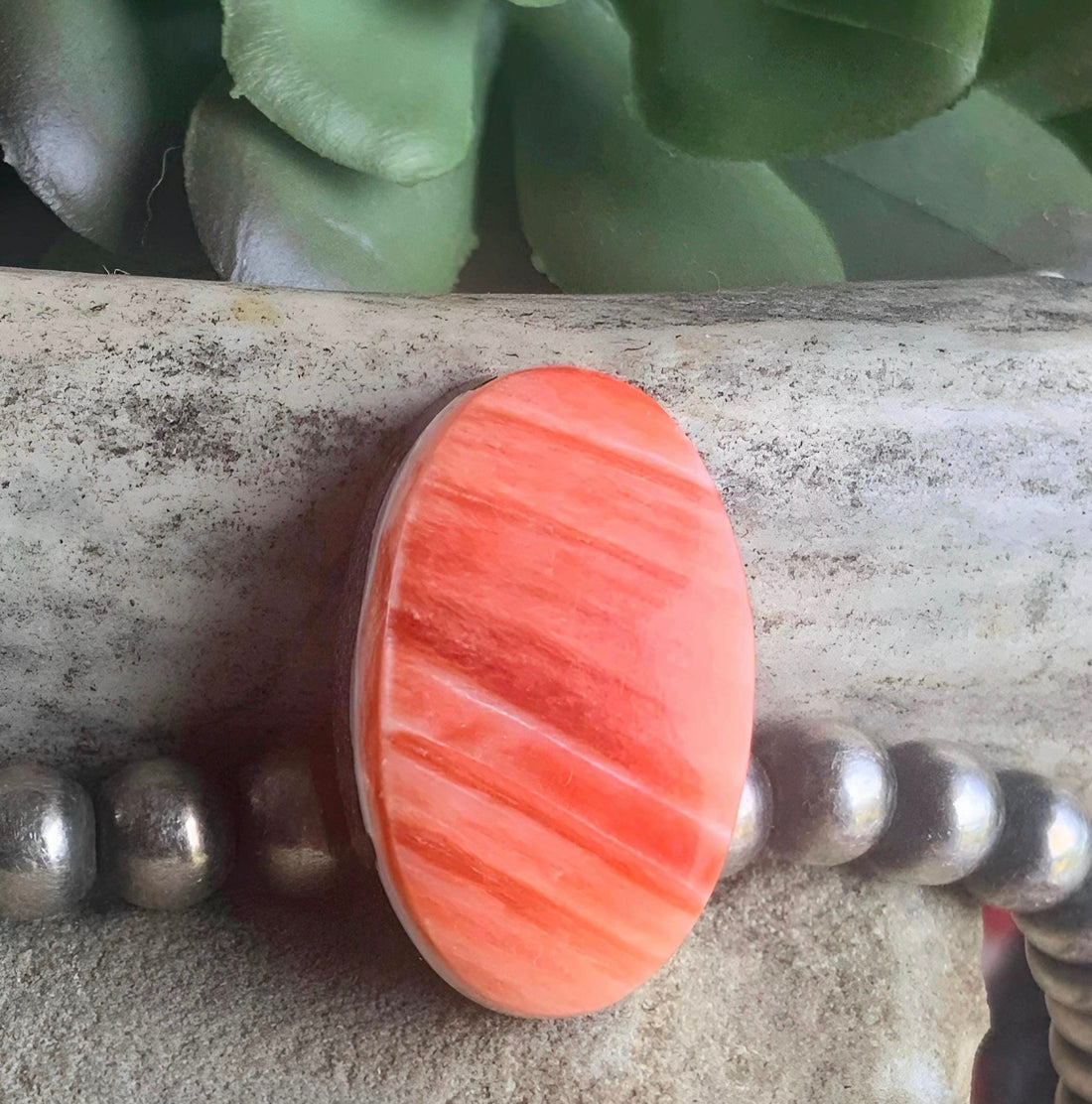 Orange Spiny Oyster Oval Cabochon #24