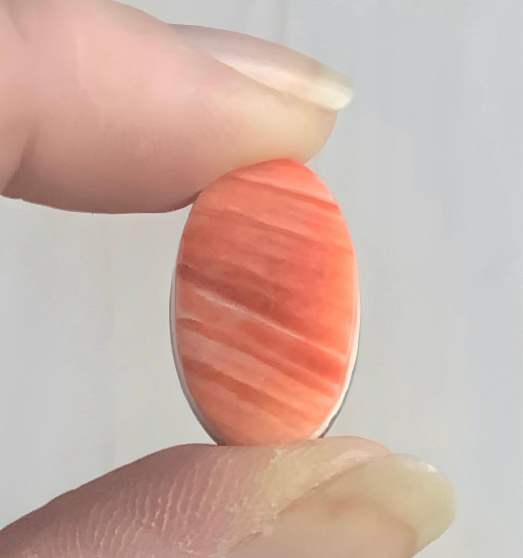 Orange Spiny Oyster Oval Cabochon #24