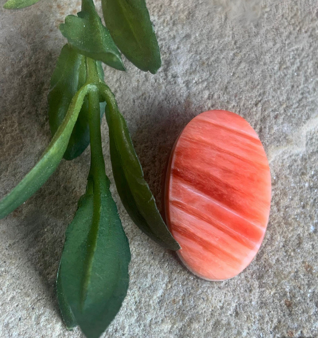 Orange Spiny Oyster Oval Cabochon #24