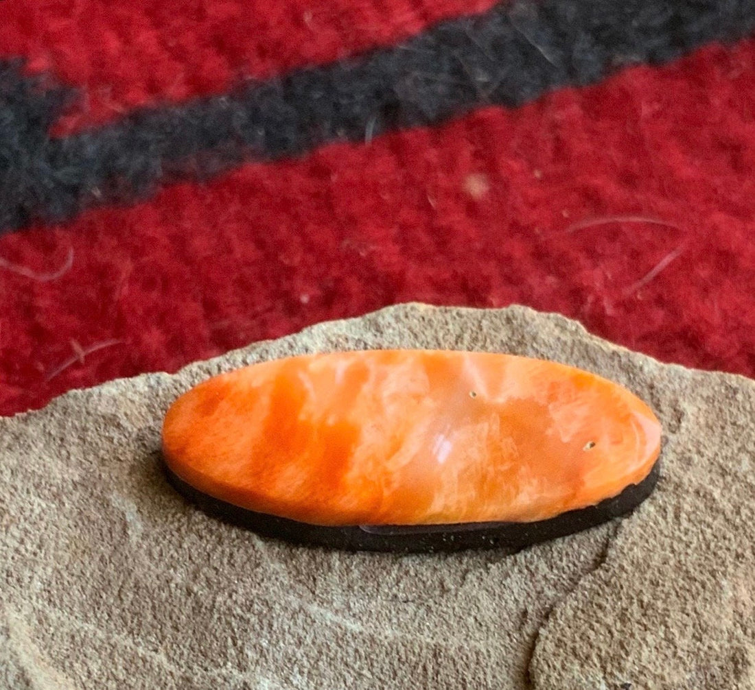 Beautiful Orange Spiny Oyster Long Oval Cabochon #19