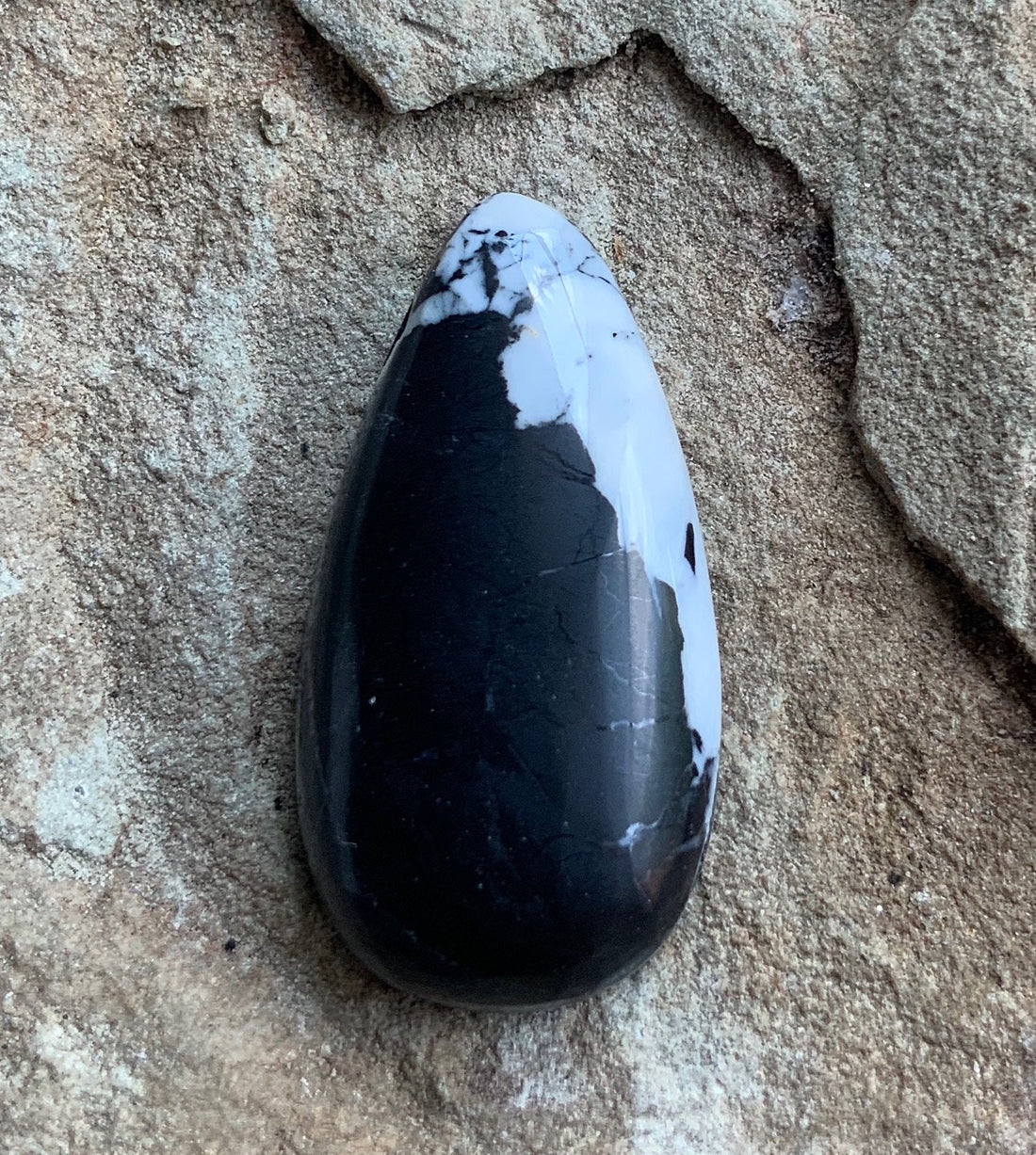 Stunning Natural White Buffalo Teardrop Cabochon — Ranch Gypsy
