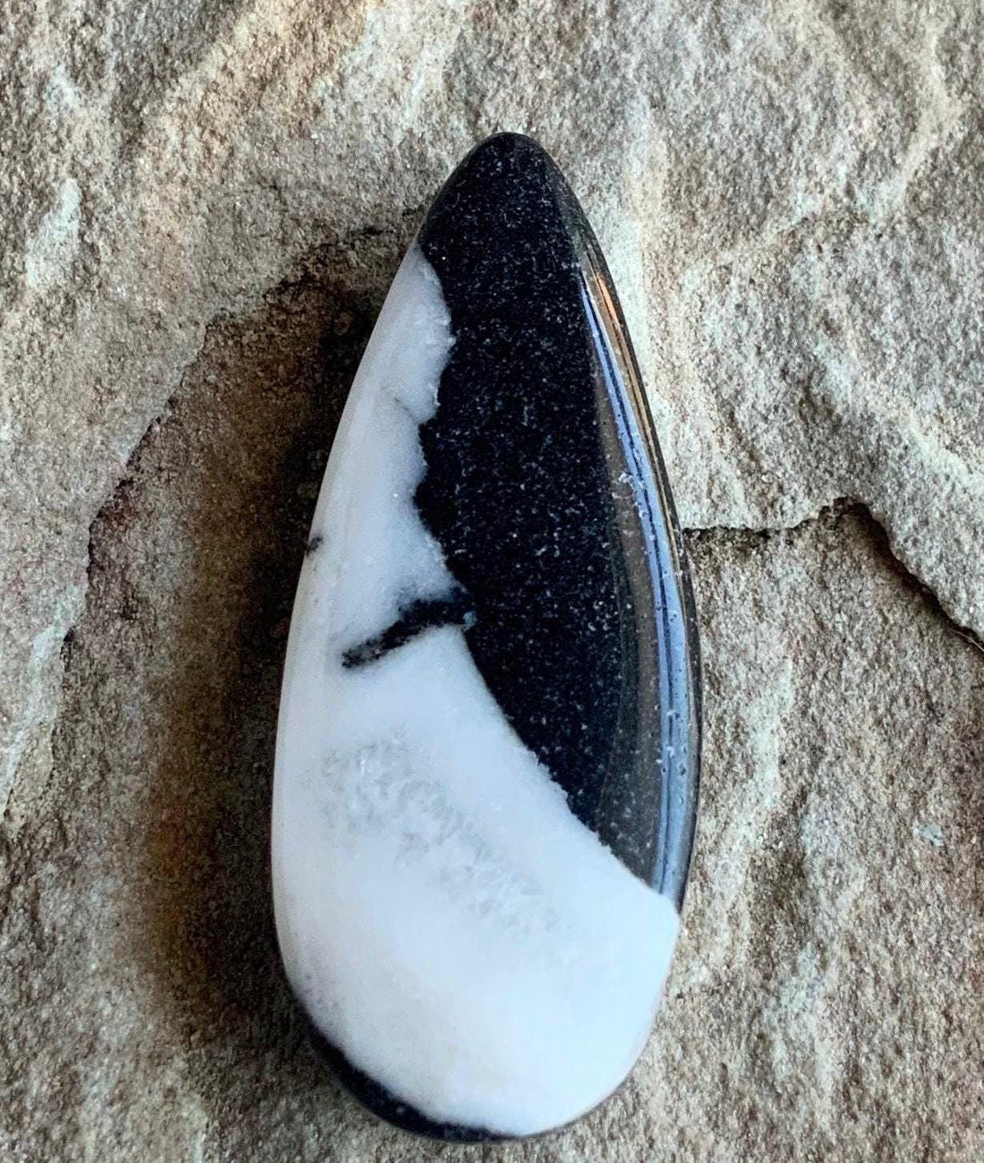 Stunning Natural White Buffalo Teardrop Cabochon  #WB63