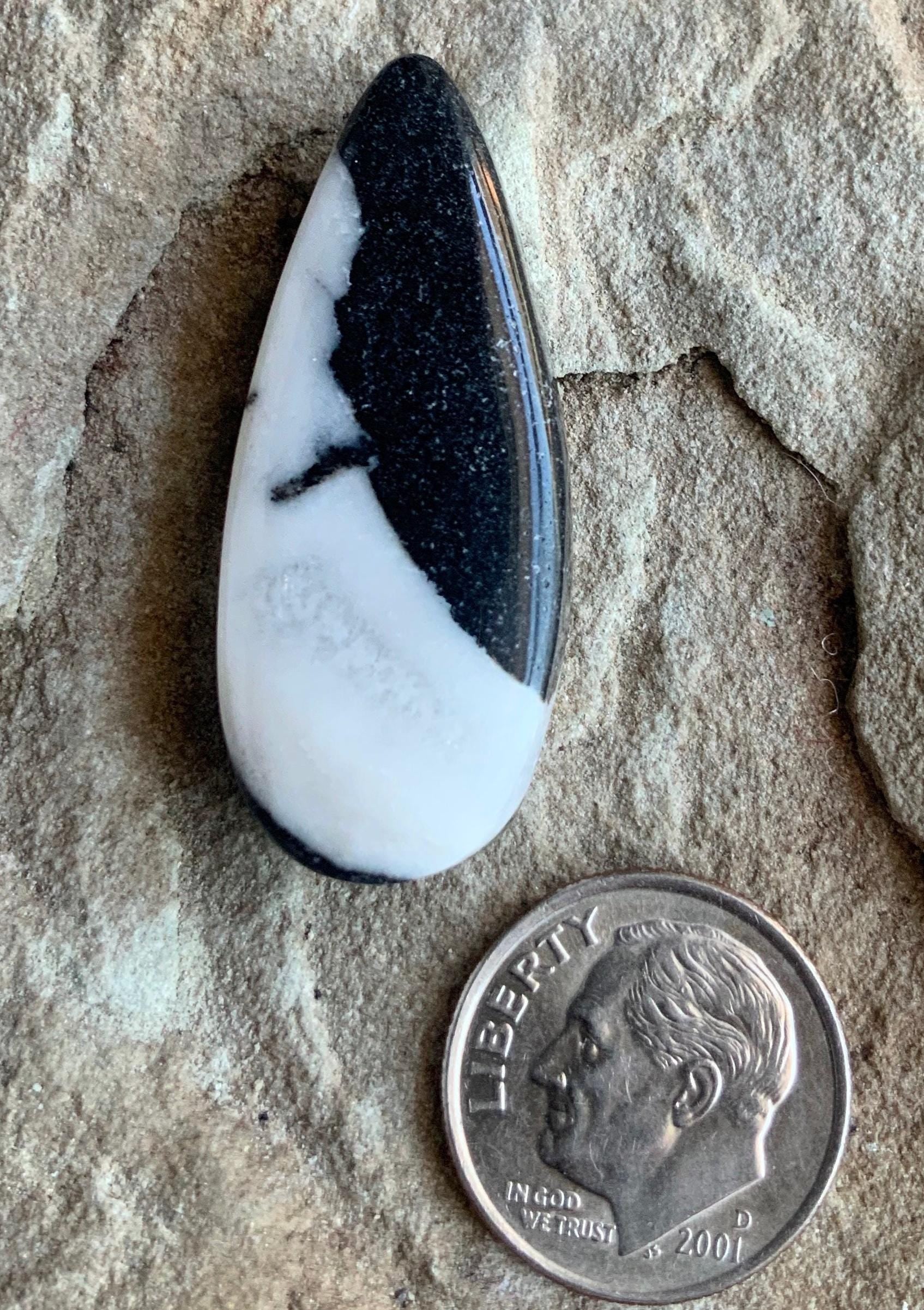 Stunning Natural White Buffalo Teardrop Cabochon  #WB63