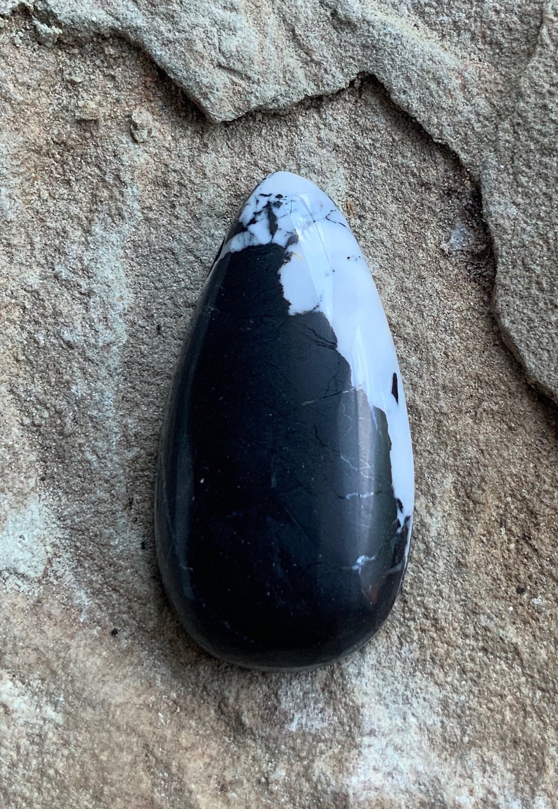 Stunning Natural White Buffalo Teardrop Cabochon — Ranch Gypsy